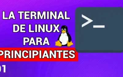 Aprende a Usar la Terminal de Linux